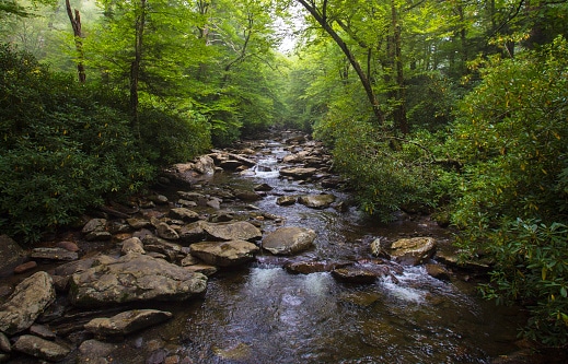 Color image of a small river flowing over river rock in the Great Smoky Mountain National Park in North Carolina.