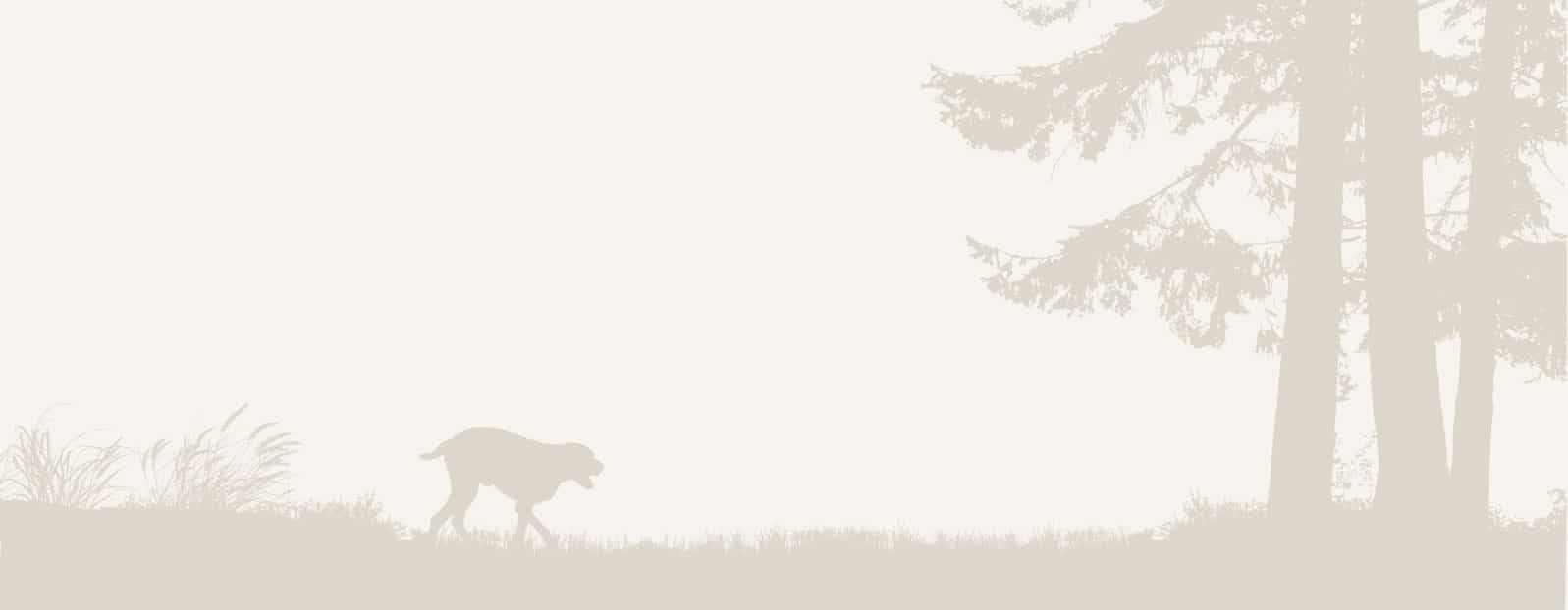 Outline of a hunting dog running through a field with woods in the background